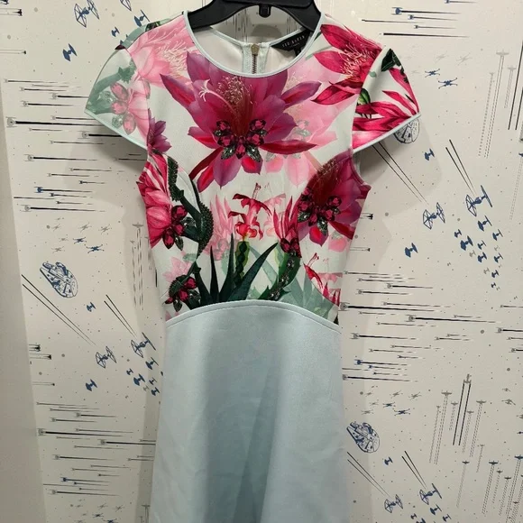 Ted Baker Anushia Floral Skater Dress, Blue, Size 0 - Picture 1 of 7
